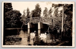 Keswick Grove NJ RPPC Beautiful Rustic Bridge And Swans Real Photo Postcard B31