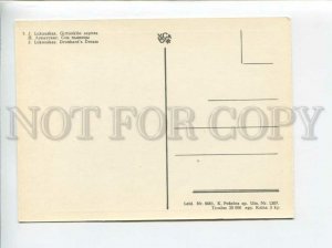 3090119 DEVIL & Drunkard's Dream Old Photo Color PC