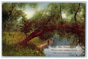 c1910 Scene Mississippi River Bend Trees Davenport Iowa Vintage Antique Postcard