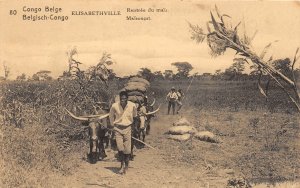 G58/ Africa RPPC Postcard French Congo Elisabethville Farmers  2