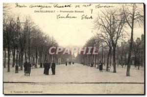 Old Postcard Promenade Blossac Chatellerault