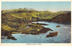 Omomea Gulch Hawaii Scenic Birdseye View Antique Postcard K65344