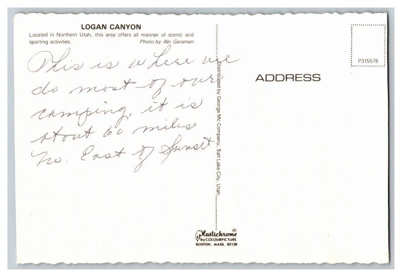 Postcard UT Logan Canyon Utah Continental View Card