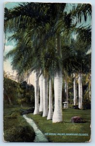 Royal Palm Hawaii HI Postcard Hawaiian Islands Royal Palms c1900 Vintage Antique