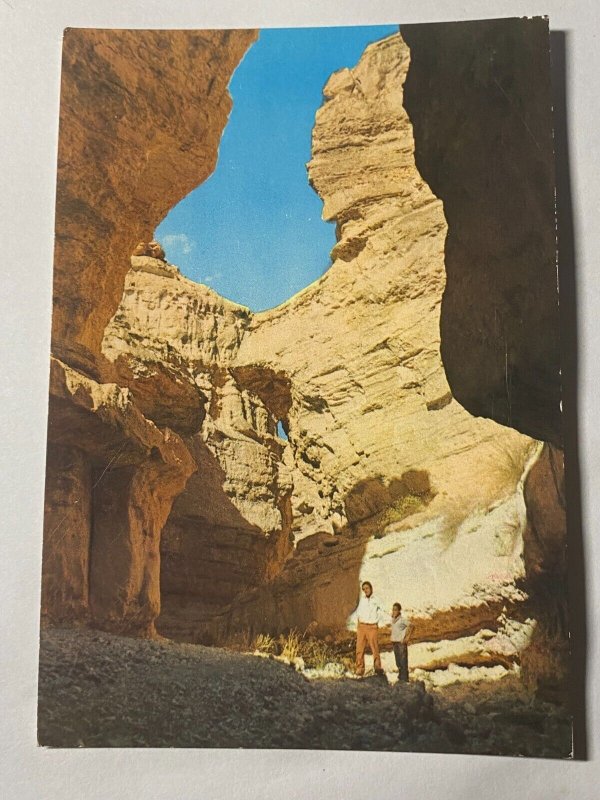 UNUSED PICTURE POSTCARD TUNISIA  - TAMERZA CANYON   (KK4197) 