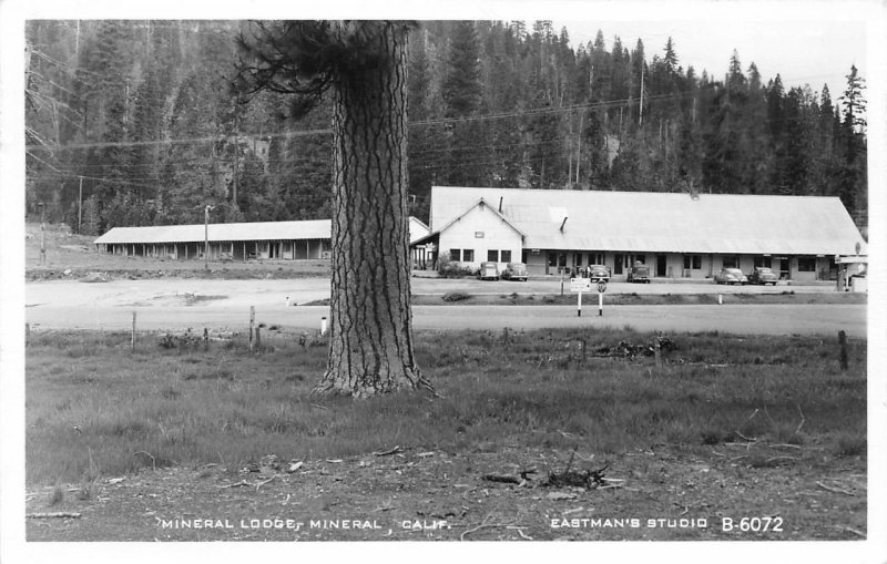 RPPC MINERAL LODGE Mineral, California Tehama County ca 1940s Eastman's Postcard