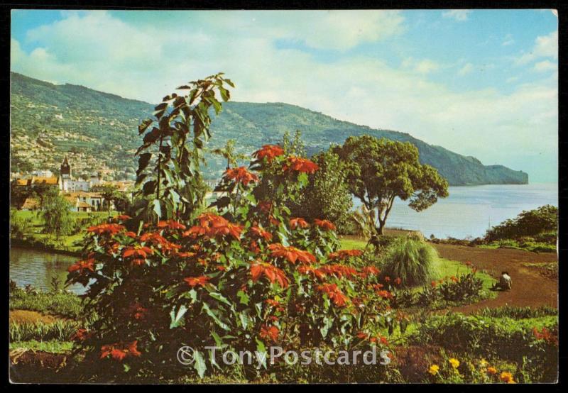 Funchal - Madeira - Eastern View