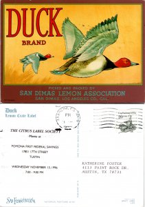 Duck Brand San Dimas Lemon Assoc. (11112)