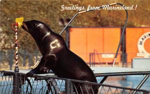 Greetings from Marineland Unused 