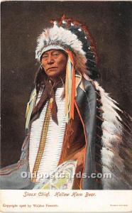 Sioux Chief, Hollow Horn Bear Indian Postcard