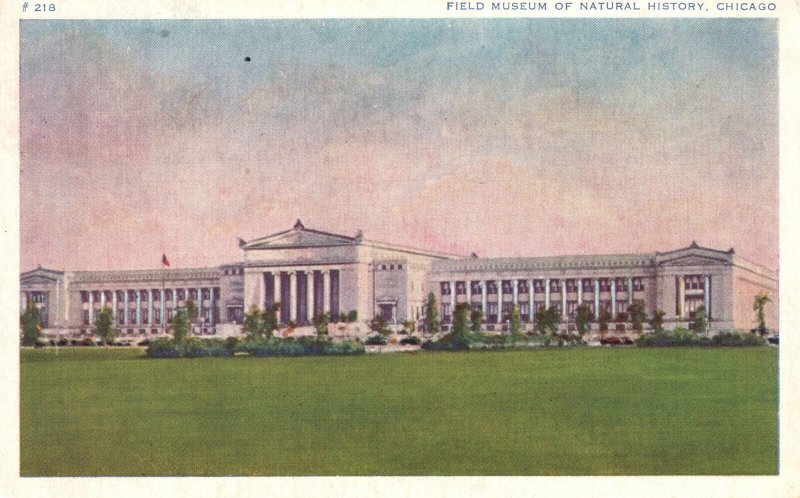 Vintage Postcard 1937 Field Museum Building Natural History Chicago Illinois ILL