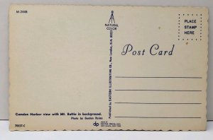 Maine Camden Harbor View with Mt. Battie in Background Sailboats Postcard E8