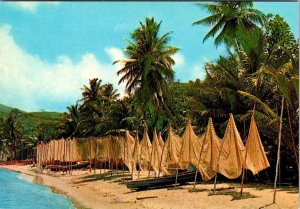 Saint-Pierre, Martinique  FISHING NETS ON THE BEACH Drying On Poles 4X6 Postcard