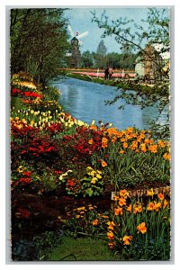 Postcard It Is Bulb-Time De Bloemenvelden In Bloei Vintage Standard View Card #1 