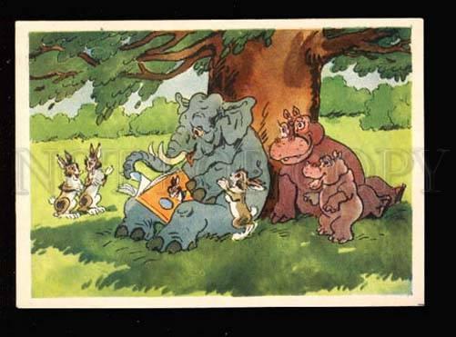 032551 ELEPHANT HARES HIPPOPOTAMUS. Old Funny PC