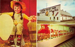 Chick Museum Sterling Poultry Farm Sterling MI 