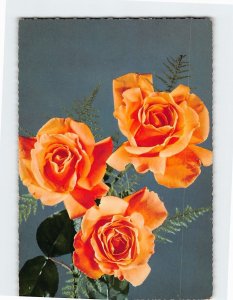 Postcard Three Roses