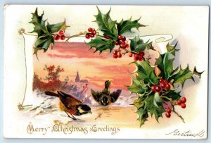 Christmas Postcard Greetings Holly Berries Birds Embossed Providence RI Tuck