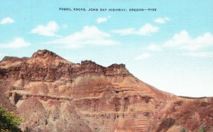 Vintage Postcard Fossil Rocks John Day Fossil Beds Animals Dumb Highway Oregon