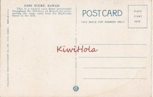 Postcard Cane Flum Hawaii HI