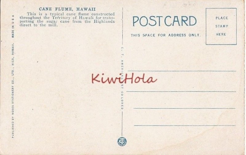 Postcard Cane Flum Hawaii HI