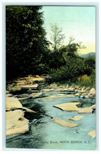 Stony Brook North Branch NY New York Stream River Old Vintage Postcard 