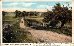 Franklin Forks Road, Montrose PA c1923 Vintage Postcard P63