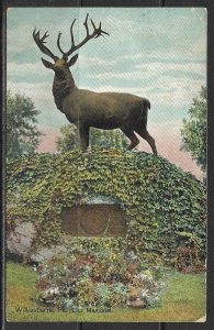 Pennsylvania, Wilkes-Barre - Elks Memorial - [PA-247]