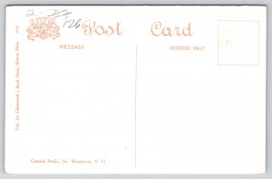 Franconia Notch New Hampshire~View Of Echo Lake & Mt Lafayette~Vintage Postcard