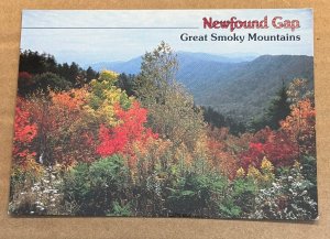 UNUSED POSTCARD - NEWFOUND GAP, GREAT SMOKY MOUNTAINS NATIONAL PARK