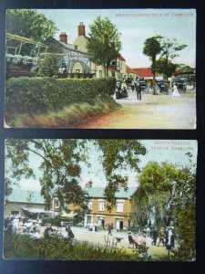 Norfolk Great Yarmouth 2 x BELTON GARDENS c1908 Postcards