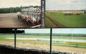 New Jersey NJ  ATLANTIC CITY HORSE RACE COURSE  Track~Starting Gates+  Postcard 