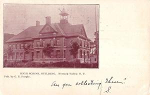 Newark Valley New York High School Building Street View Antique Postcard K89212