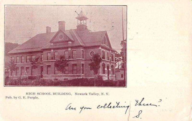 Newark Valley New York High School Building Street View Antique Postcard K89212