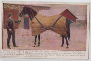 5A Horse Buster Blankets