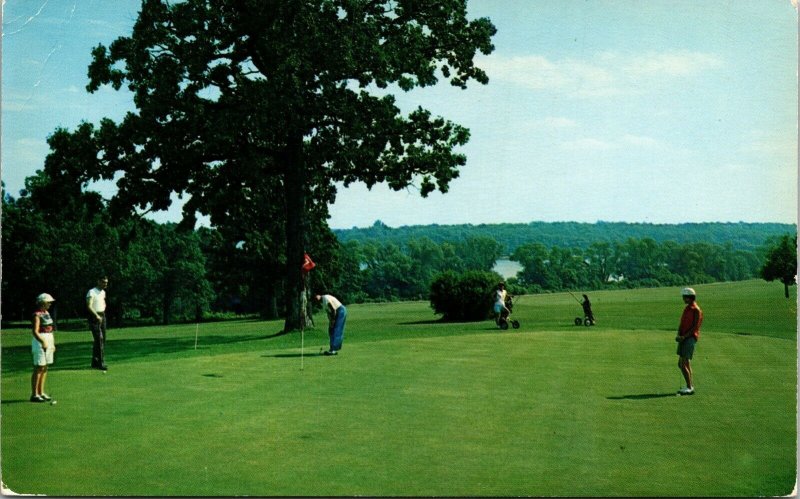 Lake Lawn Lodge Delavan Lake Wisconsin Golf Course Golfers Postcard VTG UNP 