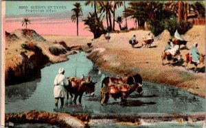 Antique Postcard Mules Donkeys Water Oasis Desert Algiers Oran c1910s JD29