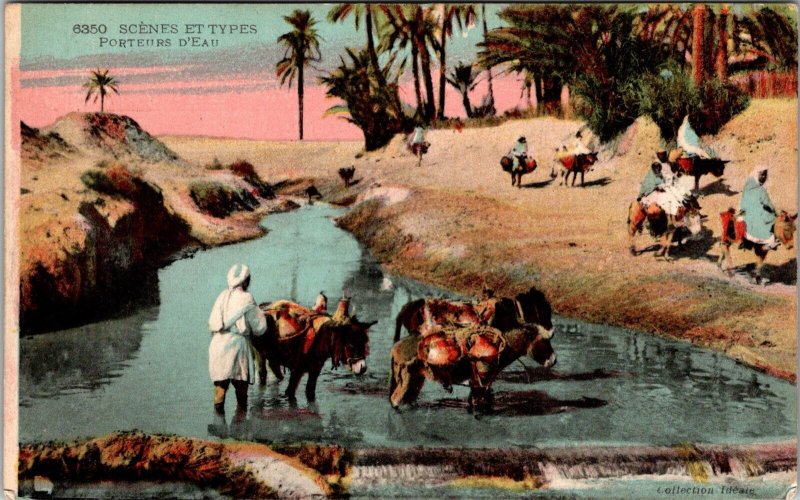 Antique Postcard Mules Donkeys Water Oasis Desert Algiers Oran c1910s JD29