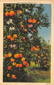 Florida's golden fruit Florida, USA Florida Oranges 1940 