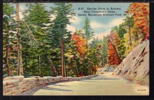 Skyline Drive in Autumn,Smoky Mountains National Park