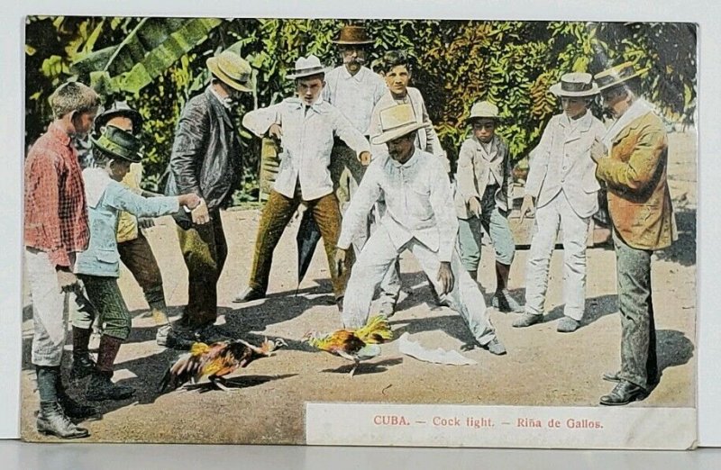 Cuba Cock Fight - Rina de Gallos - c1910 Cuban Sport Postcard K1