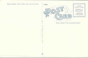 Postcard MONUMENT SCENE Saratoga Springs New York NY AI2709