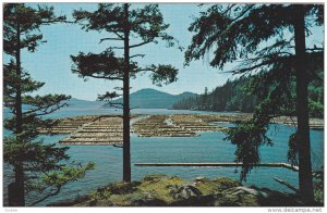 Log Booming Grounds, VANCOUVER, British Columbia, Canada, 40-60´s