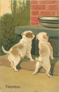 Puppies  Tempted by A Bowl of Food Temptation Embossed, 1910 Postcard  Used