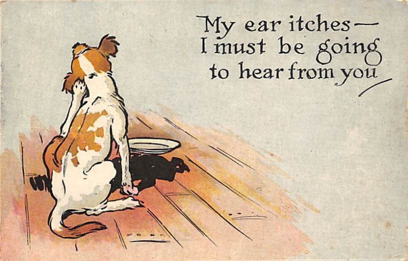 Dog itching ear  