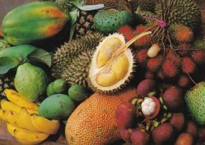 Malaysian Fruits