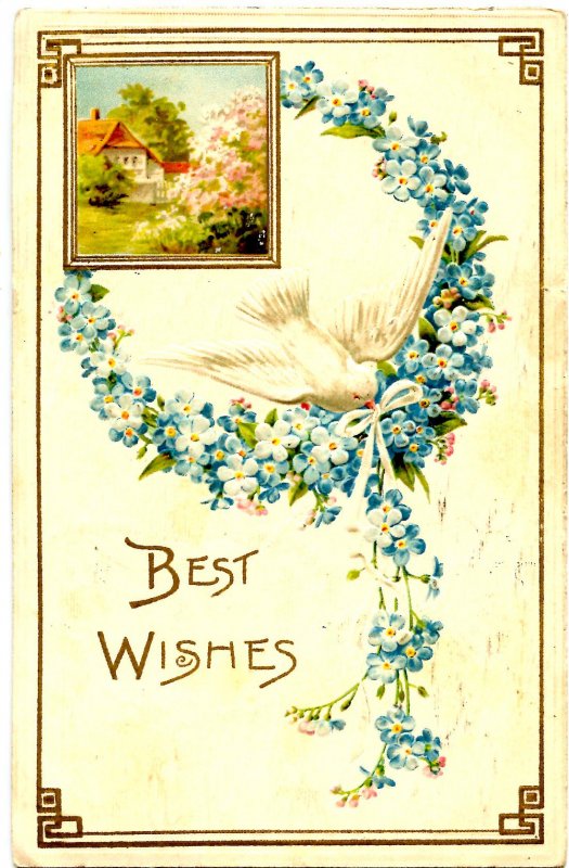 Greeting - Best Wishes