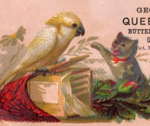 George W. David Queens Co. da década de 1880 Lote de 4 ovos de queijo manteiga de leite cães gatos F44-