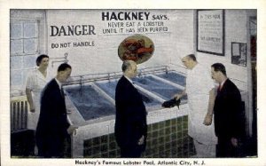 Hackneys Famous Lobster Pool - Atlantic City, New Jersey NJ Postcard