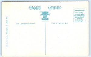 Motor Bus Postcard Roosevelt Boulevard Philadelphia PA